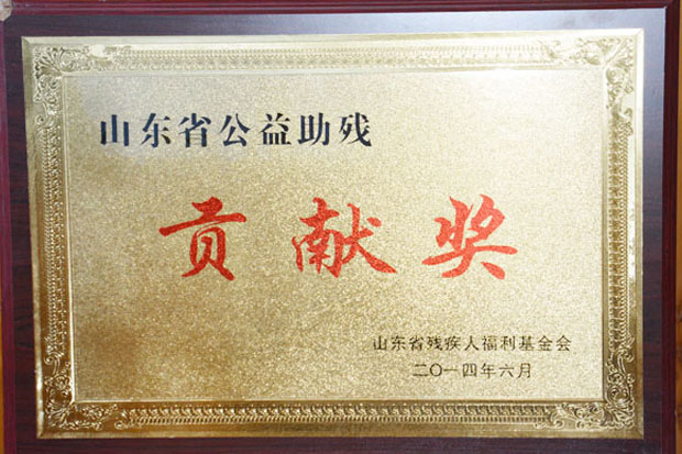 山東省工藝助殘貢獻獎